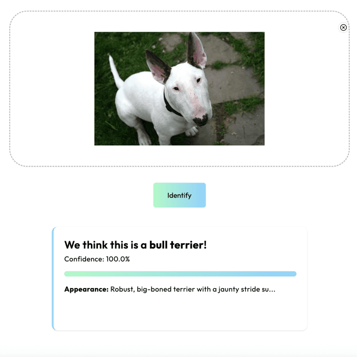Dog breed identification